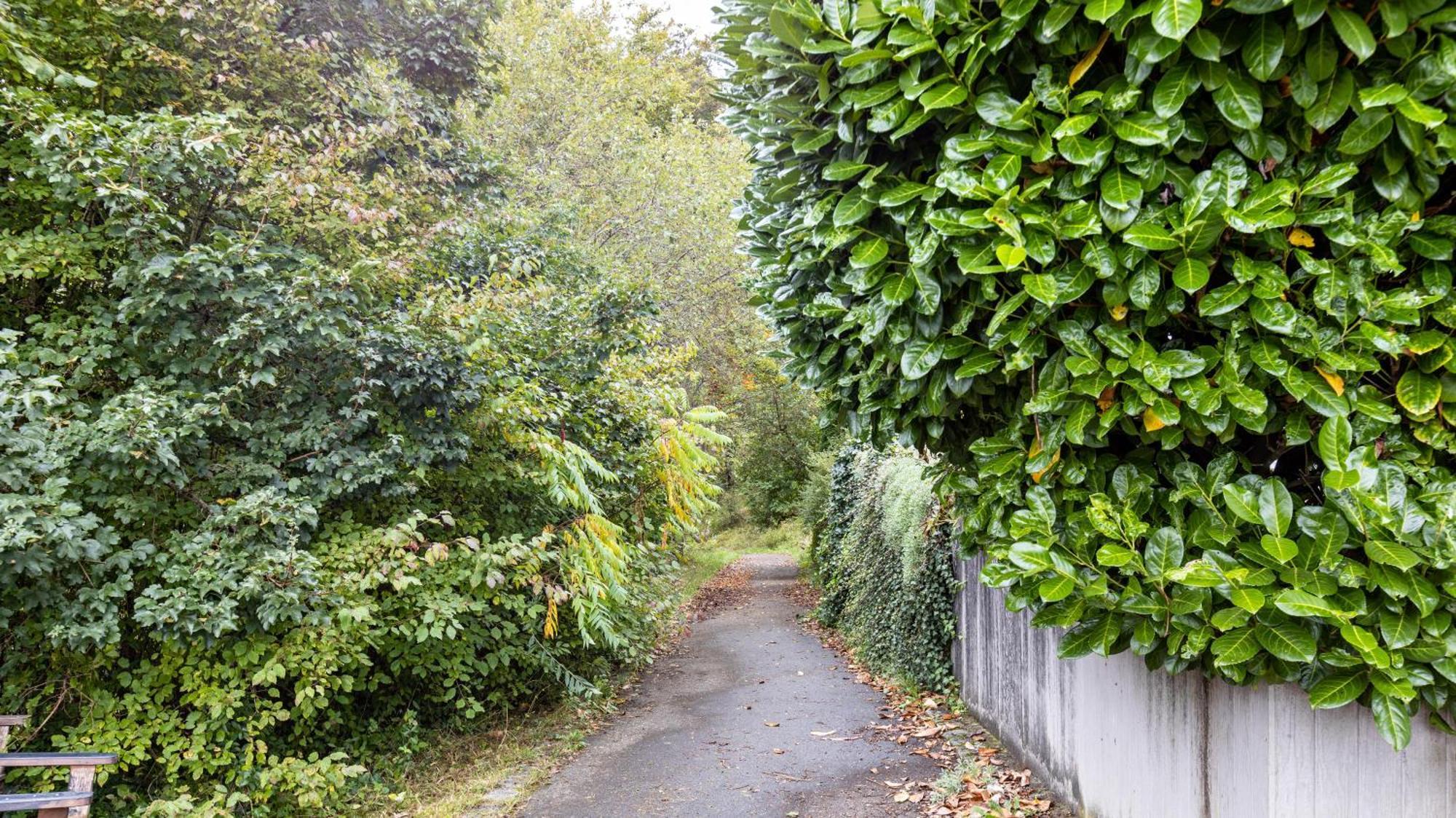 Ferienwohnung Am Donauradweg Tuttlingen Luaran gambar